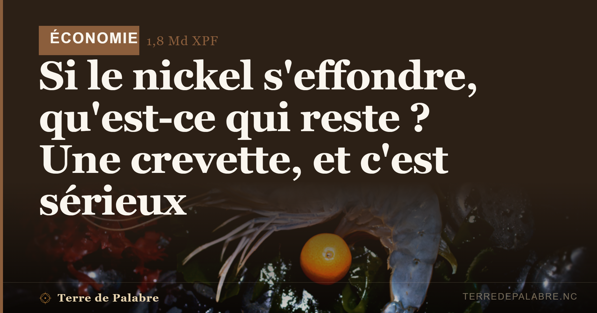 Si le nickel s’effondre, qu’est-ce qui reste ? Une crevette, et c’est sérieux